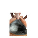 ruskea kaupunkireppu pigeon maija sisältä